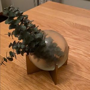 Westelm glass +metal terrarium